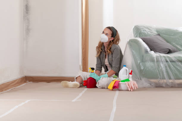 Reliable Mold Testing contractor in Carteret, NJ by WQB Mold Removal